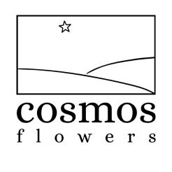 Cosmos Flowers