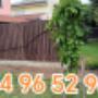 495018374_698511882729530_661598401480533942_n.jpg