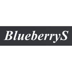 BlueberryS s. r. o. - projekty mostov
