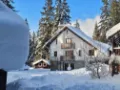 Zima