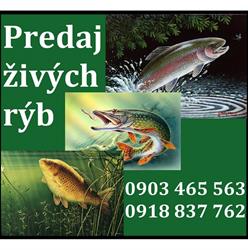 RYBY Fero s.r.o