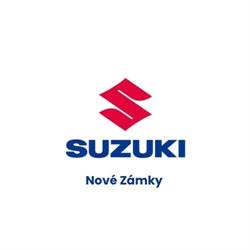Rival car - Suzuki