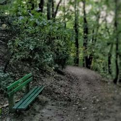 Ihrisko Horský park