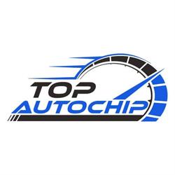 Top Autochip