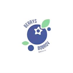 Berry Bobrov