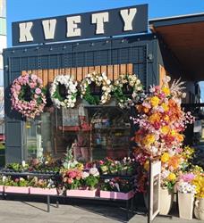 Kvety Dahlia