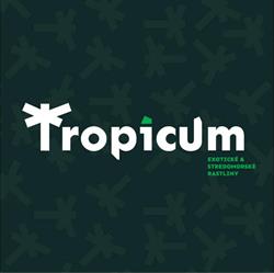 TROPICUM - Exotické Dreviny