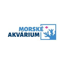 MorskéAkvárium